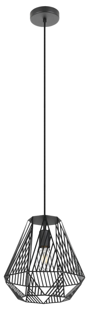 1L Pendant Light / Luminaire suspendu 1L