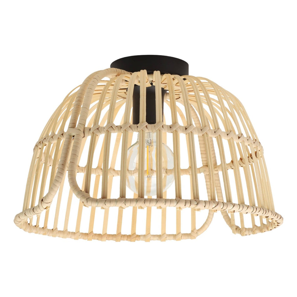 1L Ceiling Light / Plafonnier 1L