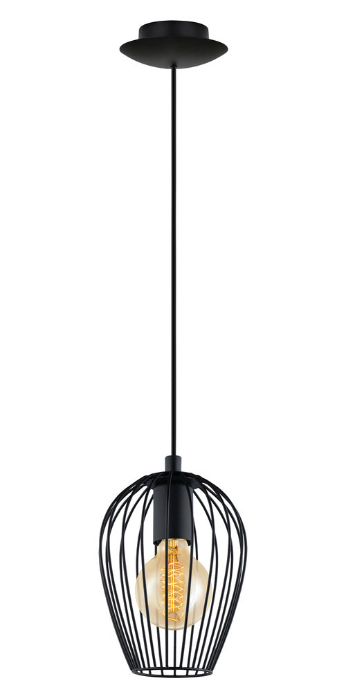 1L Pendant Light / Luminaire suspendu 1L