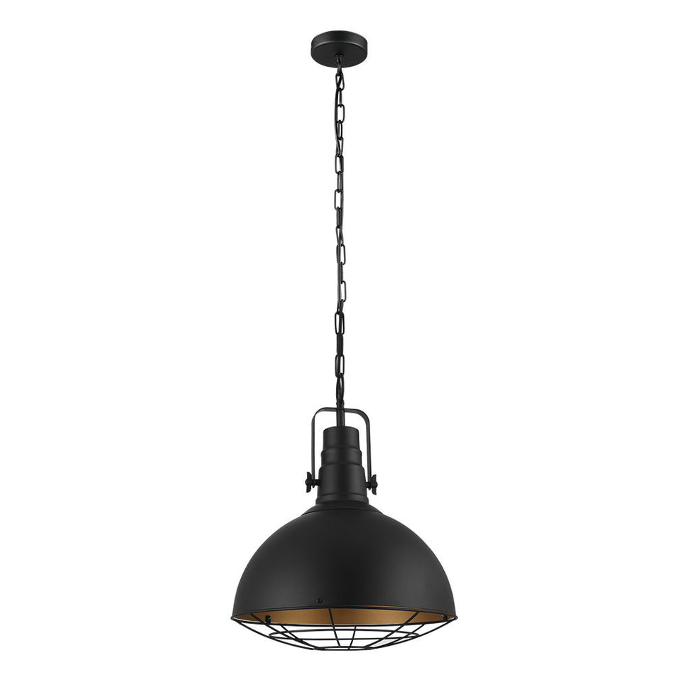 1L Pendant Light / Luminaire suspendu 1L