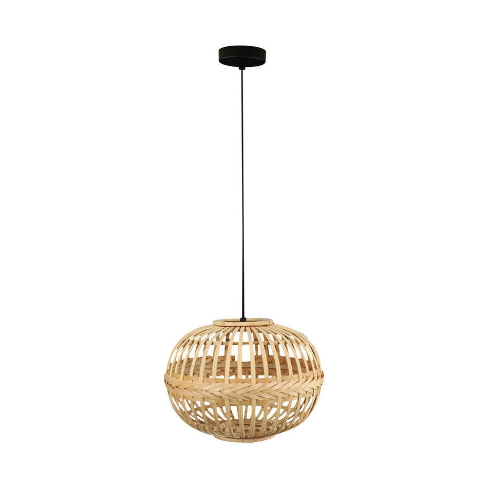 1L Pendant Light / Luminaire suspendu 1L