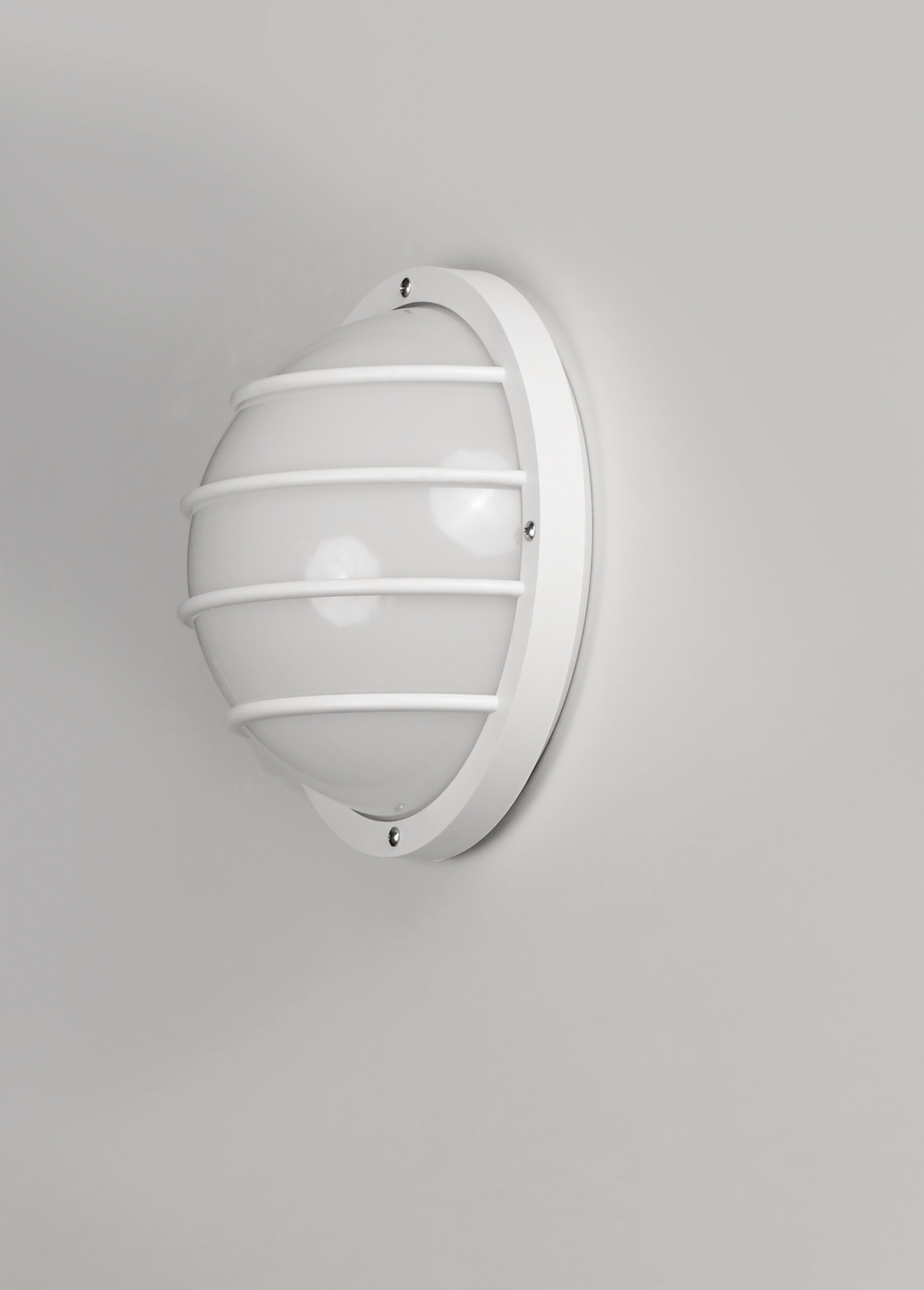 Bulwark 1-Light LED Outdoor Wall Sconce