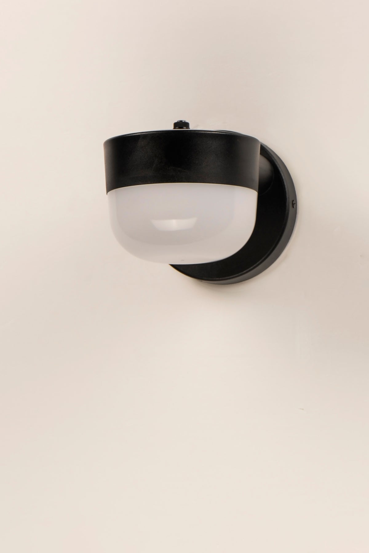 Michelle LED Outdoor Wall Sconce