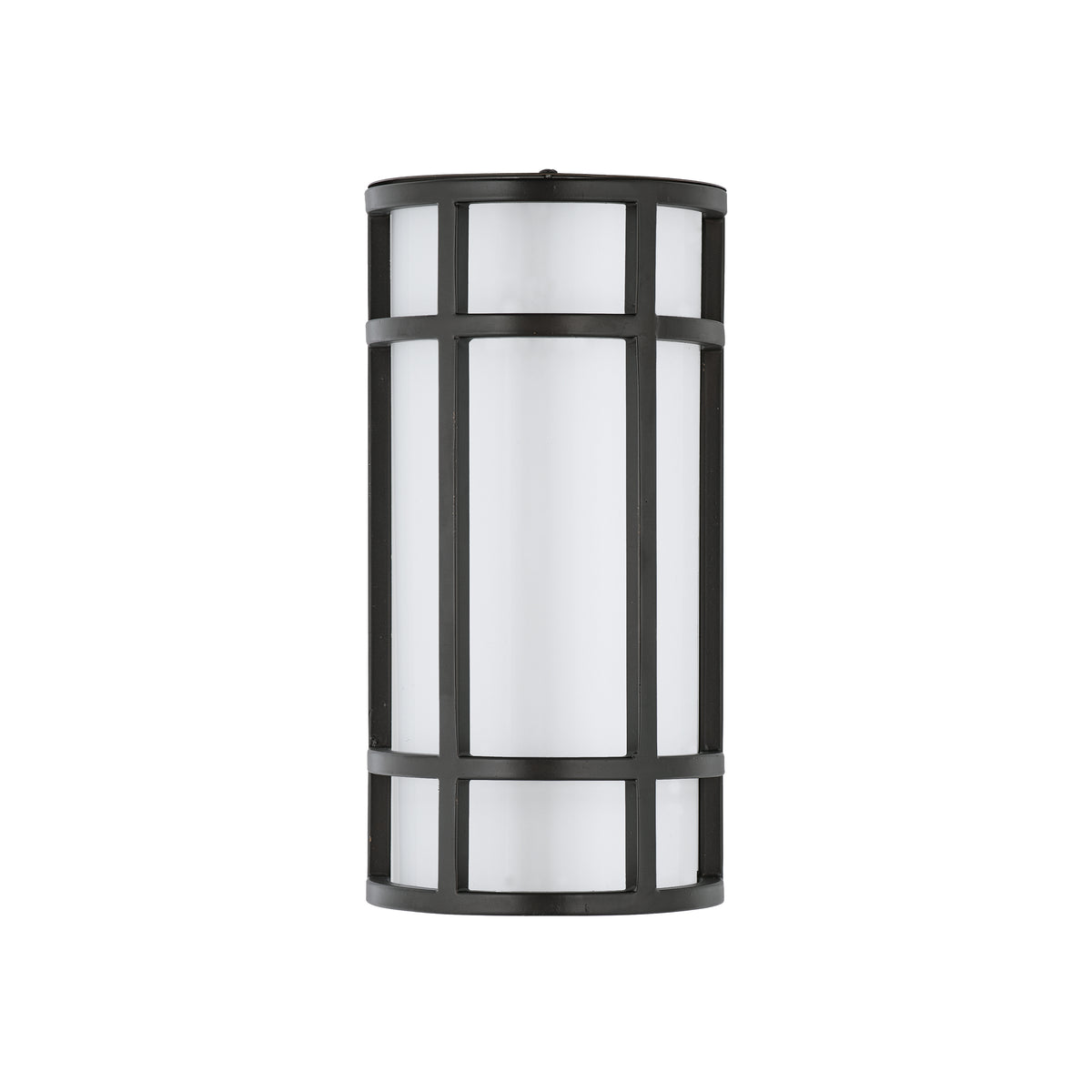 Moon Ray 12" LED Outdoor Wall Sconce