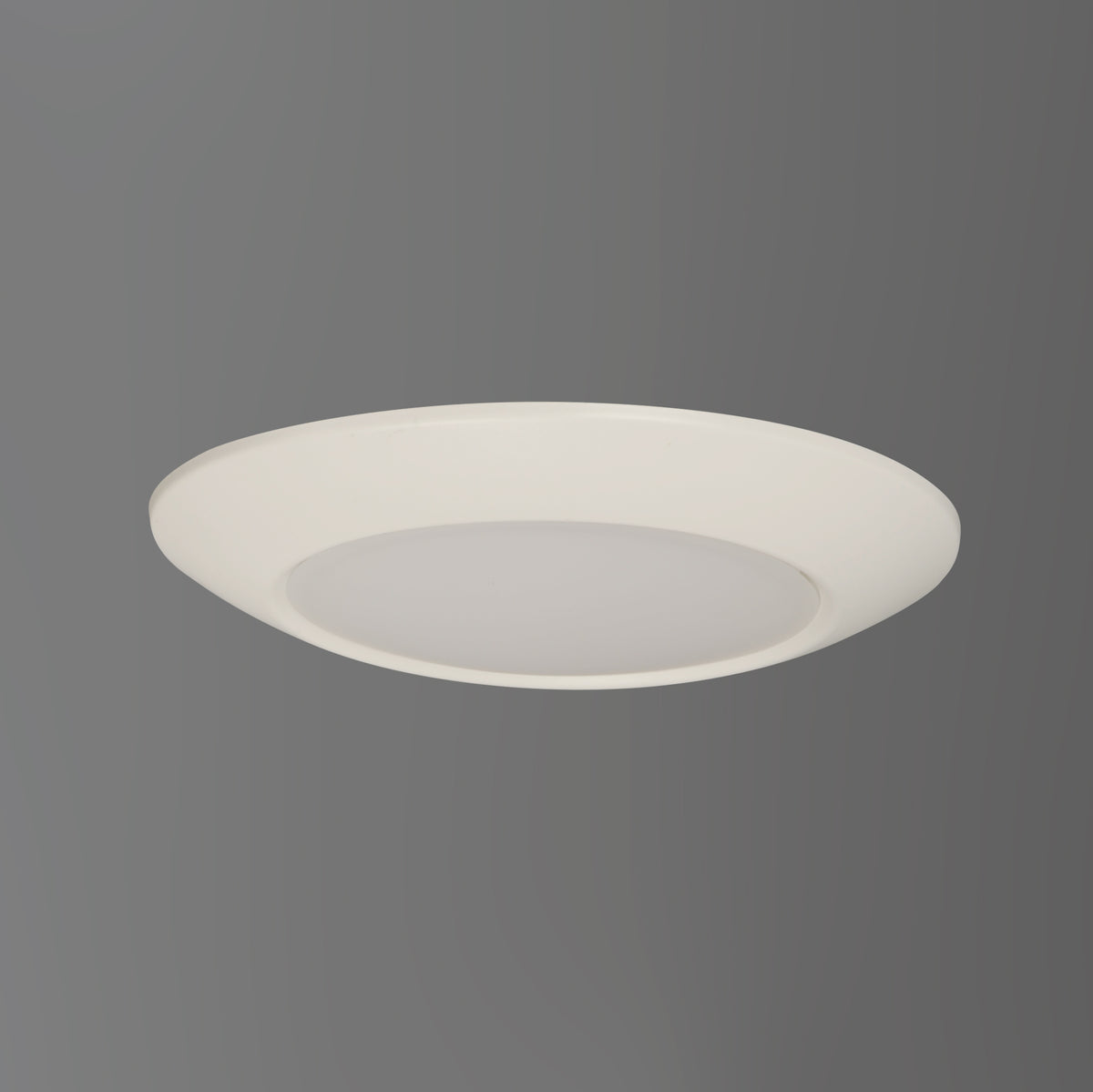 Diverse 9" LED Flush Mount 4000K