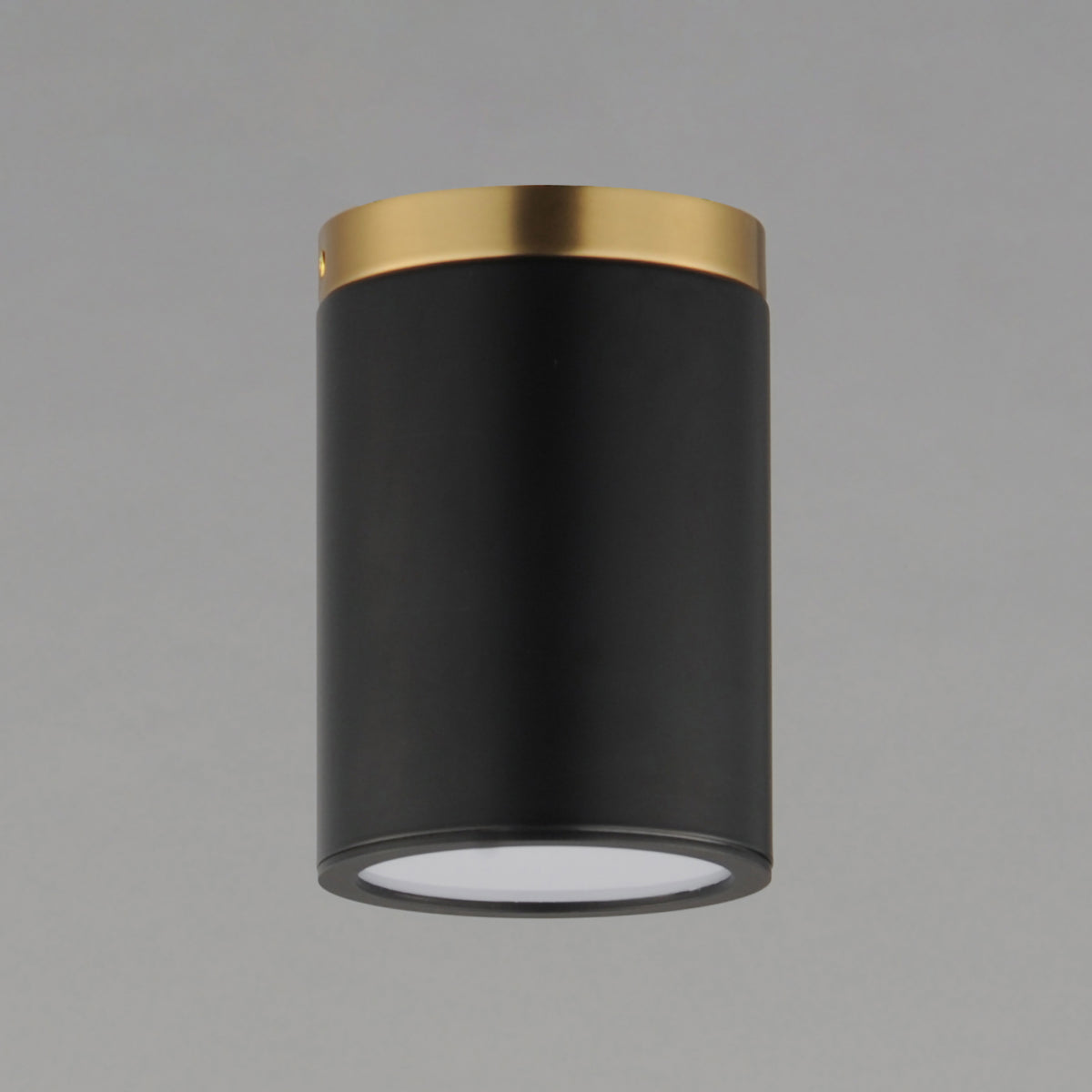 Dapper 1-Light Flush Mount