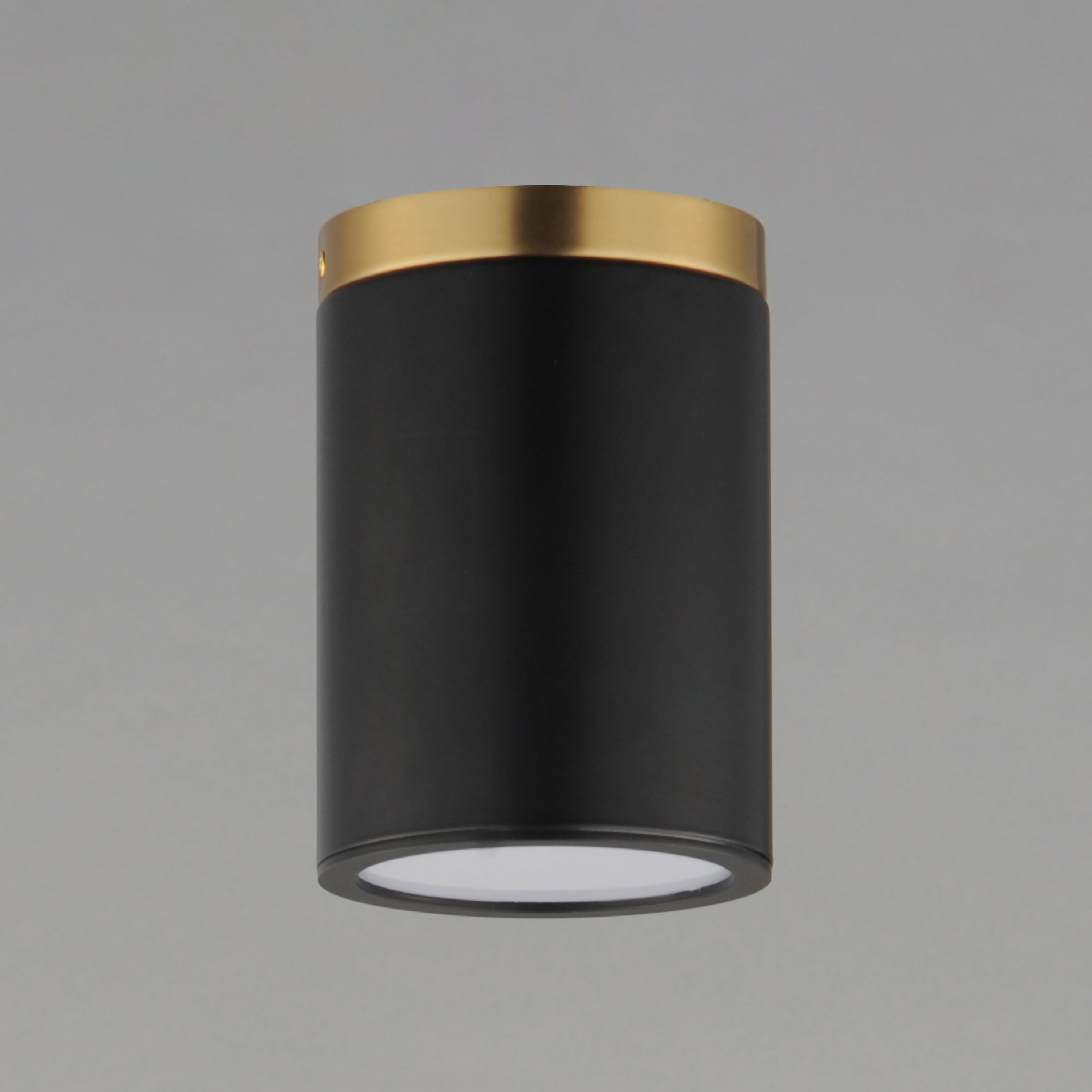 Dapper 1-Light Flush Mount