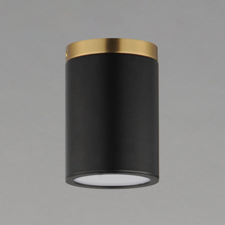 Dapper 1-Light Flush Mount