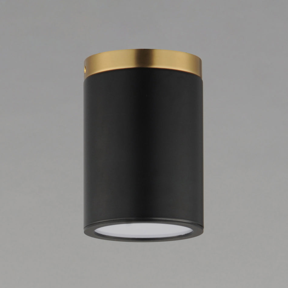 Dapper 1-Light Flush Mount