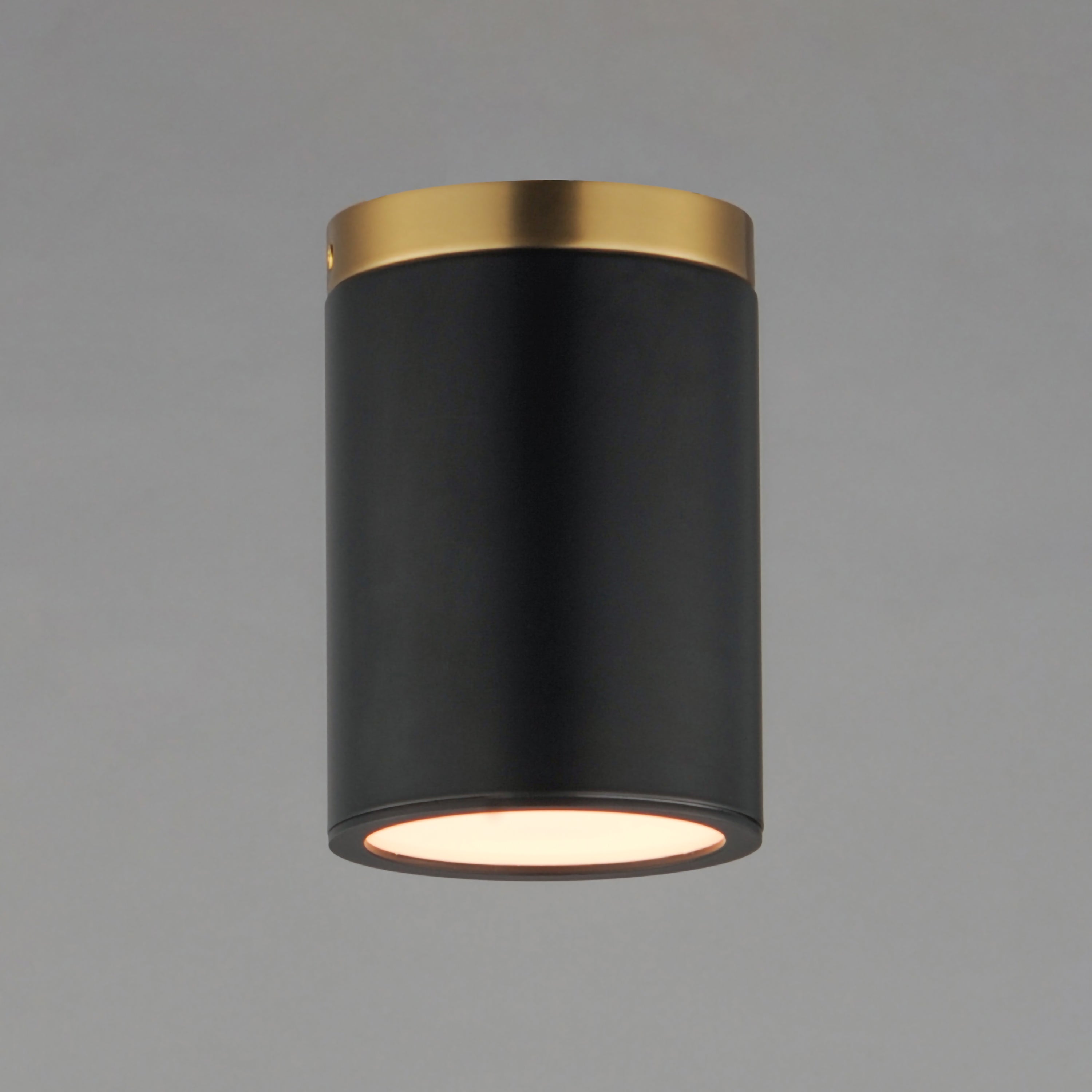Dapper 1-Light Flush Mount