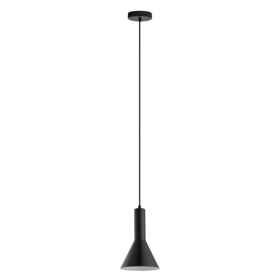 1L Pendant Light / Luminaire suspendu 1L
