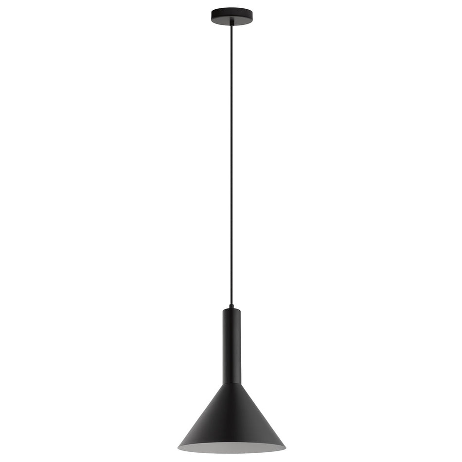1L Pendant Light / Luminaire suspendu 1L