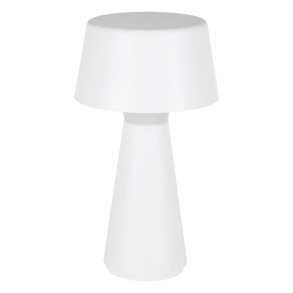 1L LED Table Lamp / Lampe de table DEL 1L