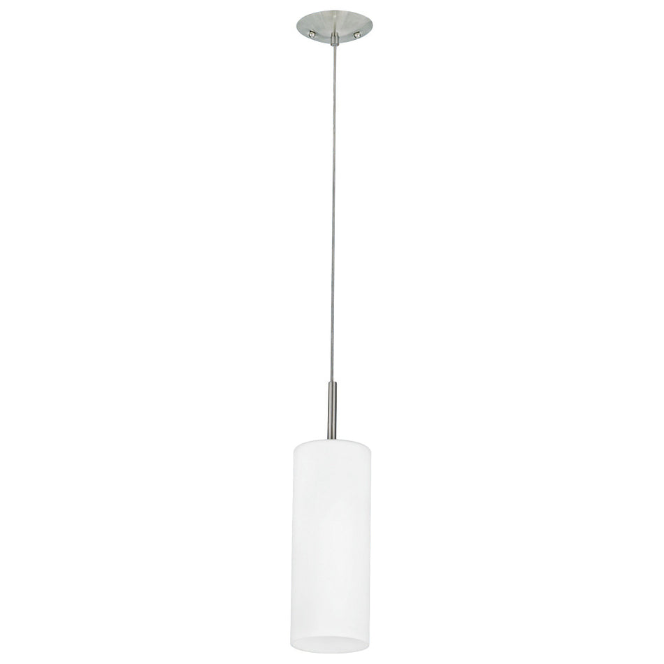 1L Pendant Light / Luminaire suspendu 1L