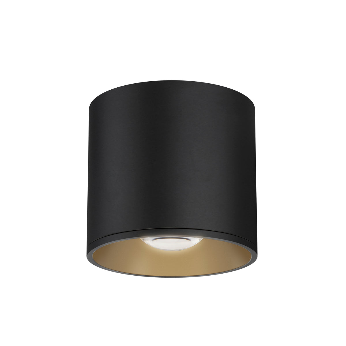 Stout RD 120-277V Indoor/Outdoor Flush Mount