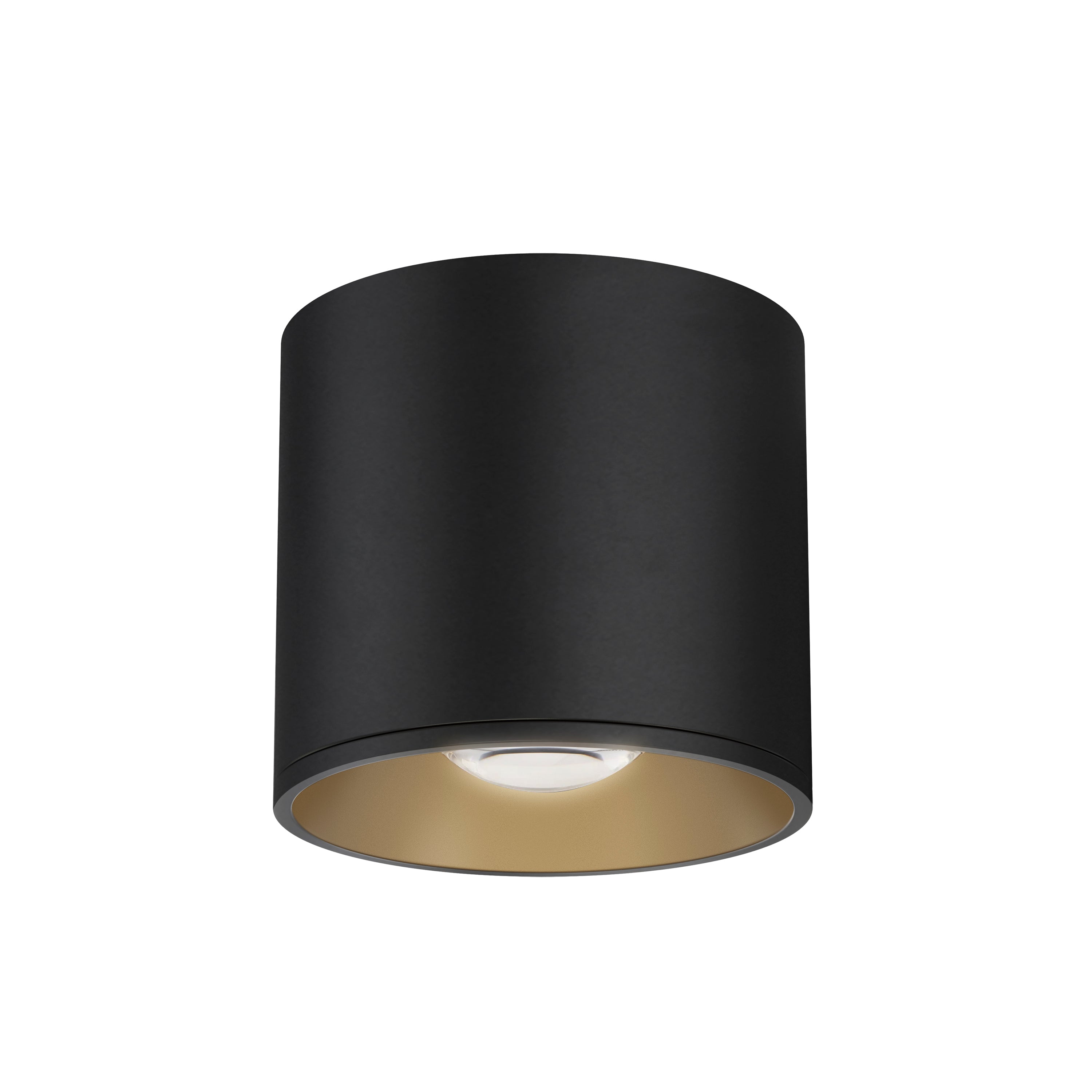 Stout RD 120-277V Indoor/Outdoor Flush Mount