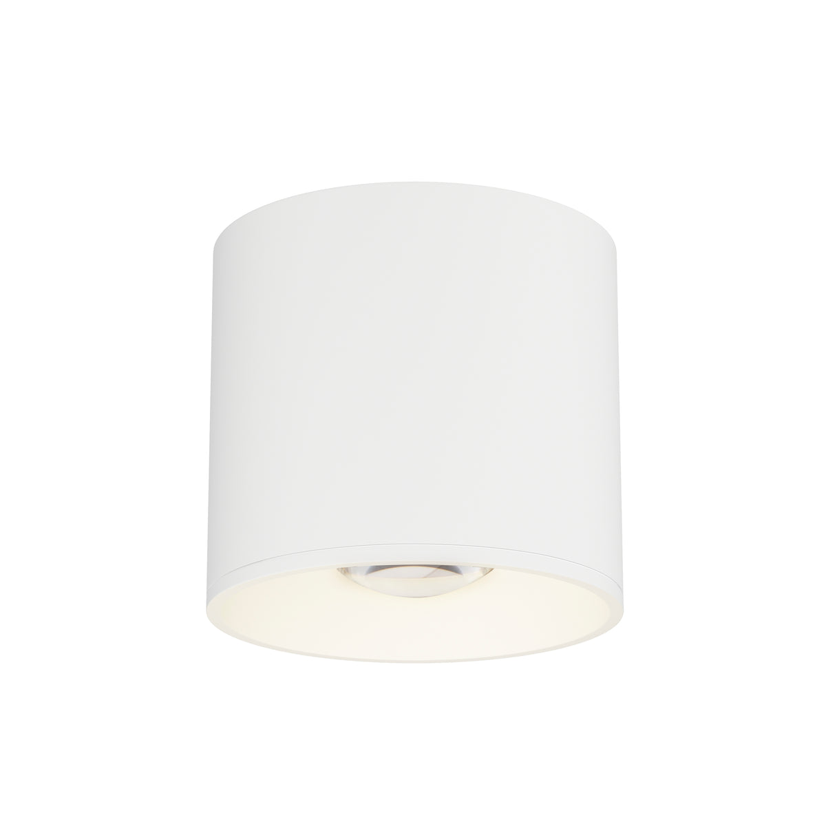 Stout RD 120-277V Indoor/Outdoor Flush Mount