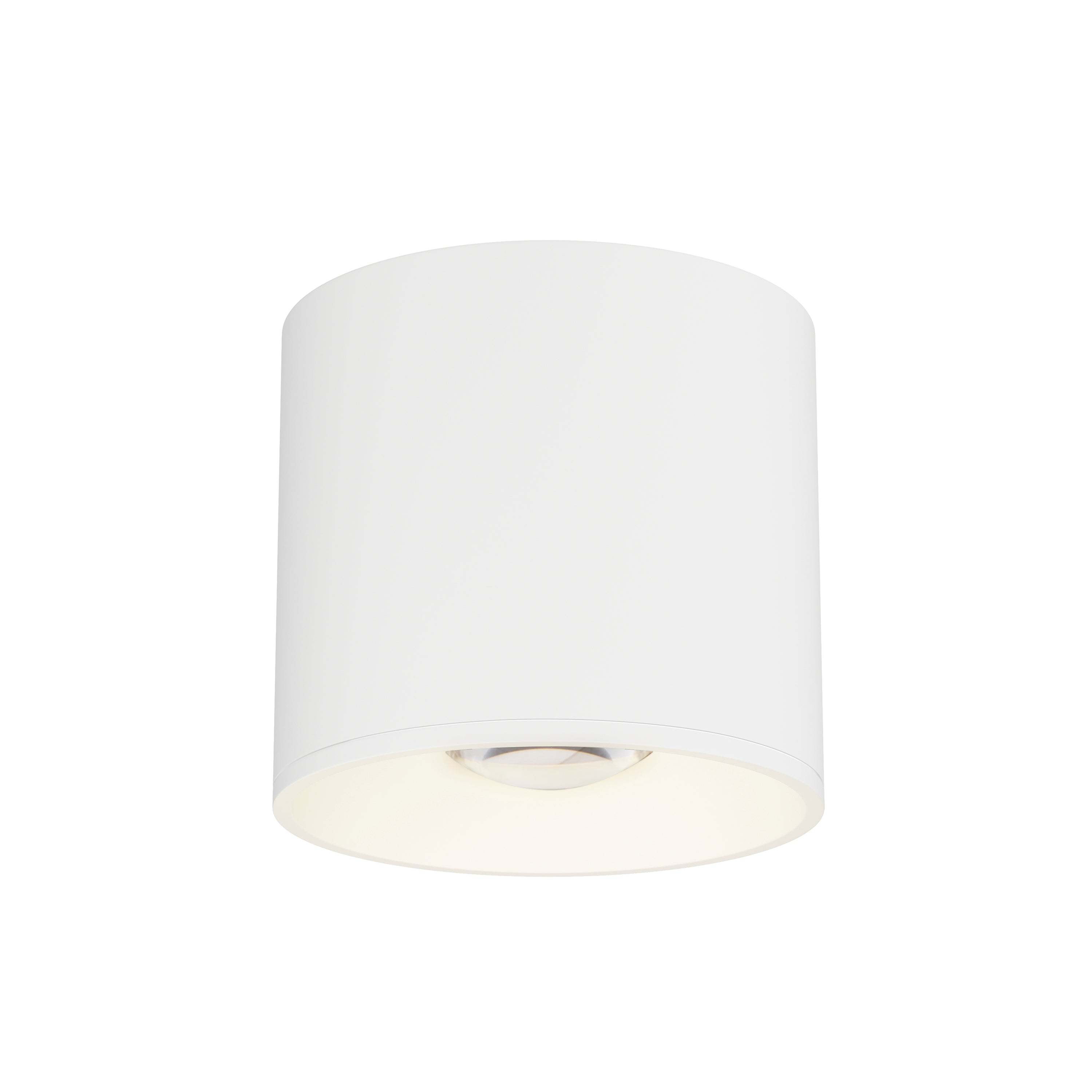 Stout RD 120-277V Indoor/Outdoor Flush Mount