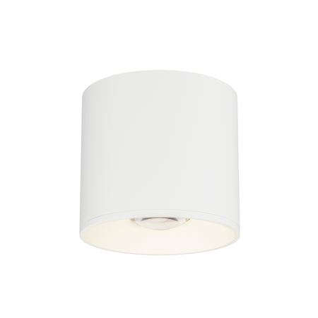 Stout RD 120-277V Indoor/Outdoor Flush Mount