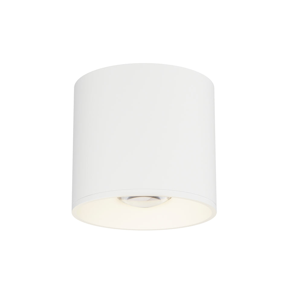 Stout RD 120-277V Indoor/Outdoor Flush Mount