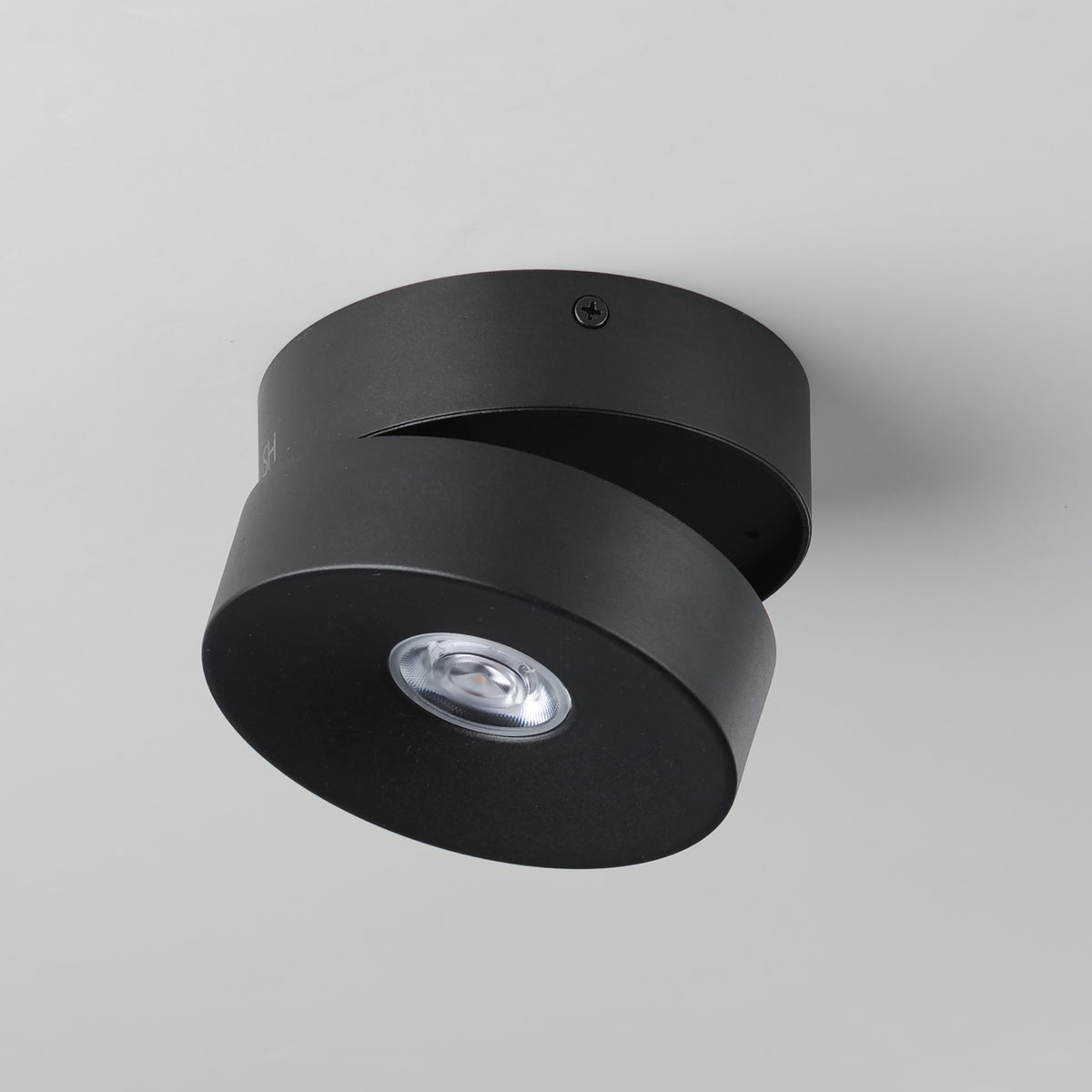 Swinger Adjustable LED Flush Mount