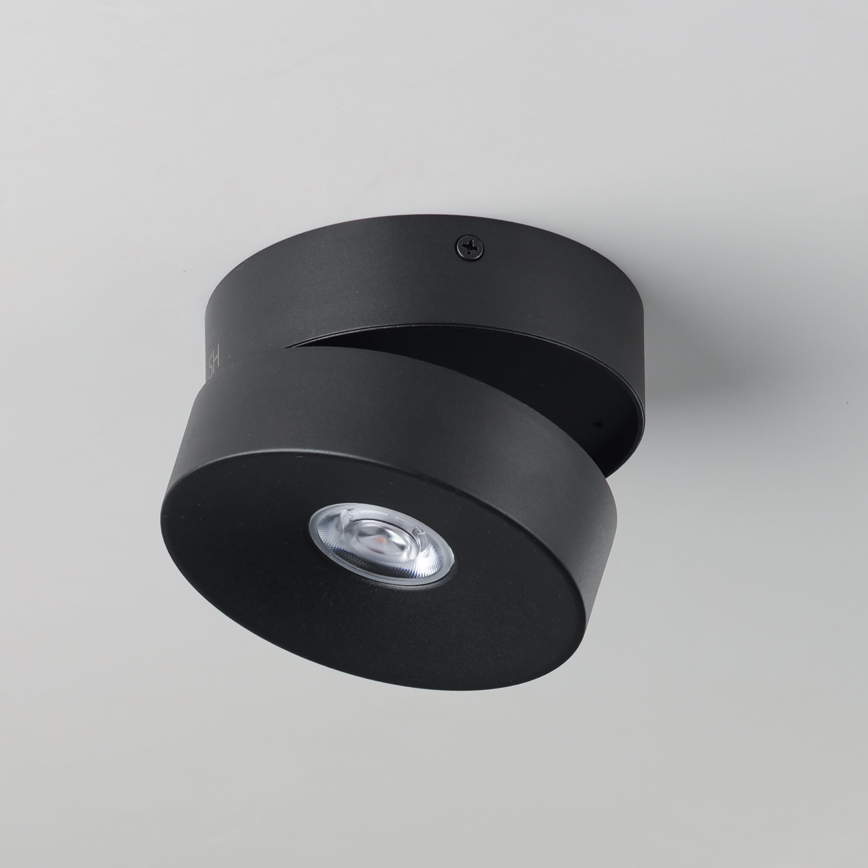 Swinger Adjustable LED Flush Mount