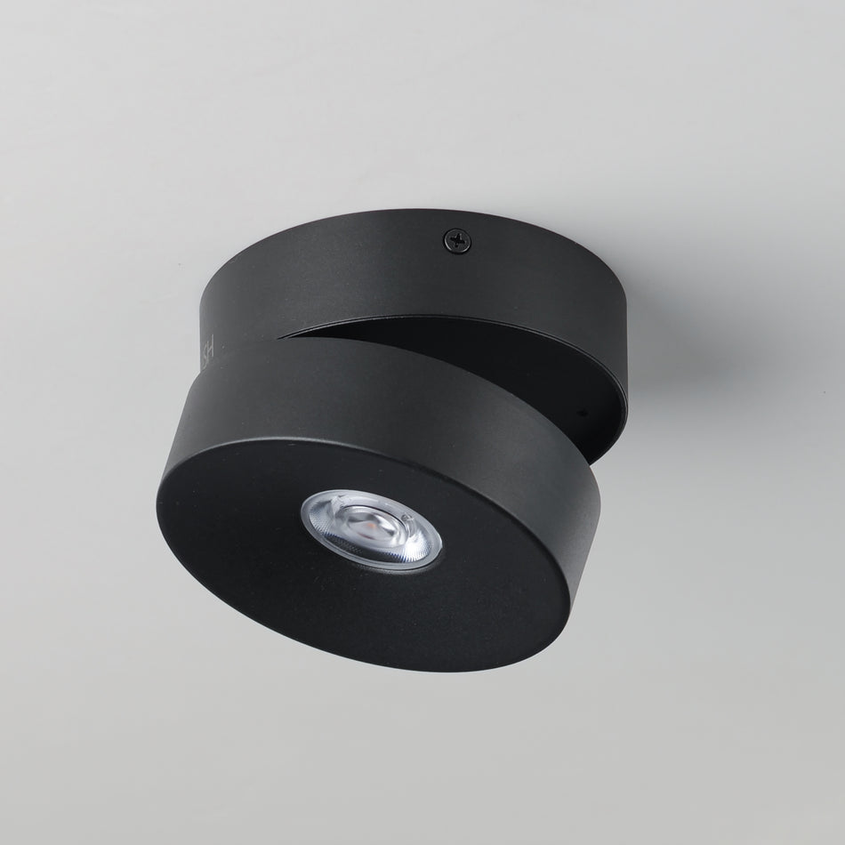 Swinger Adjustable LED Flush Mount