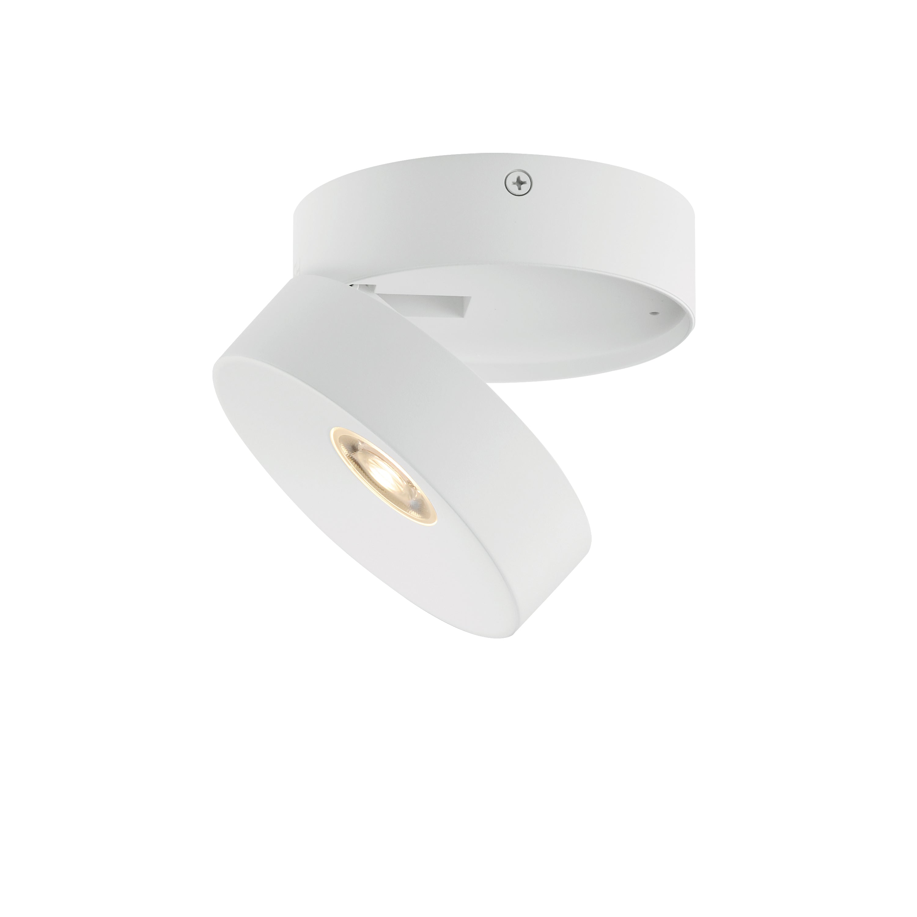 Swinger Adjustable LED Flush Mount