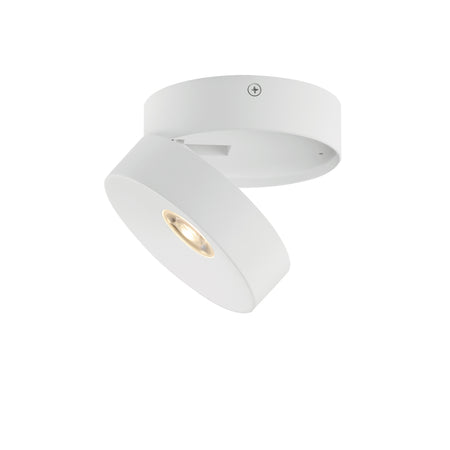 Swinger Adjustable LED Flush Mount