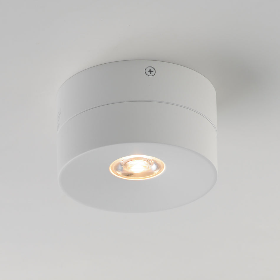 Swinger Adjustable LED Flush Mount