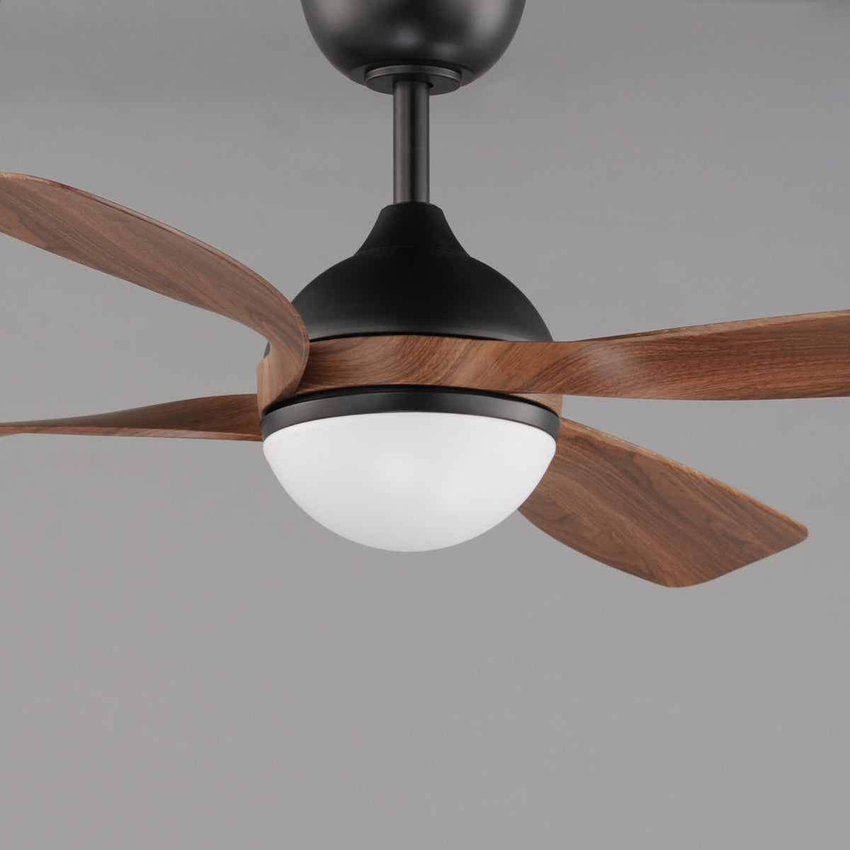 Bola 52" Indoor Fan w LED Light Kit