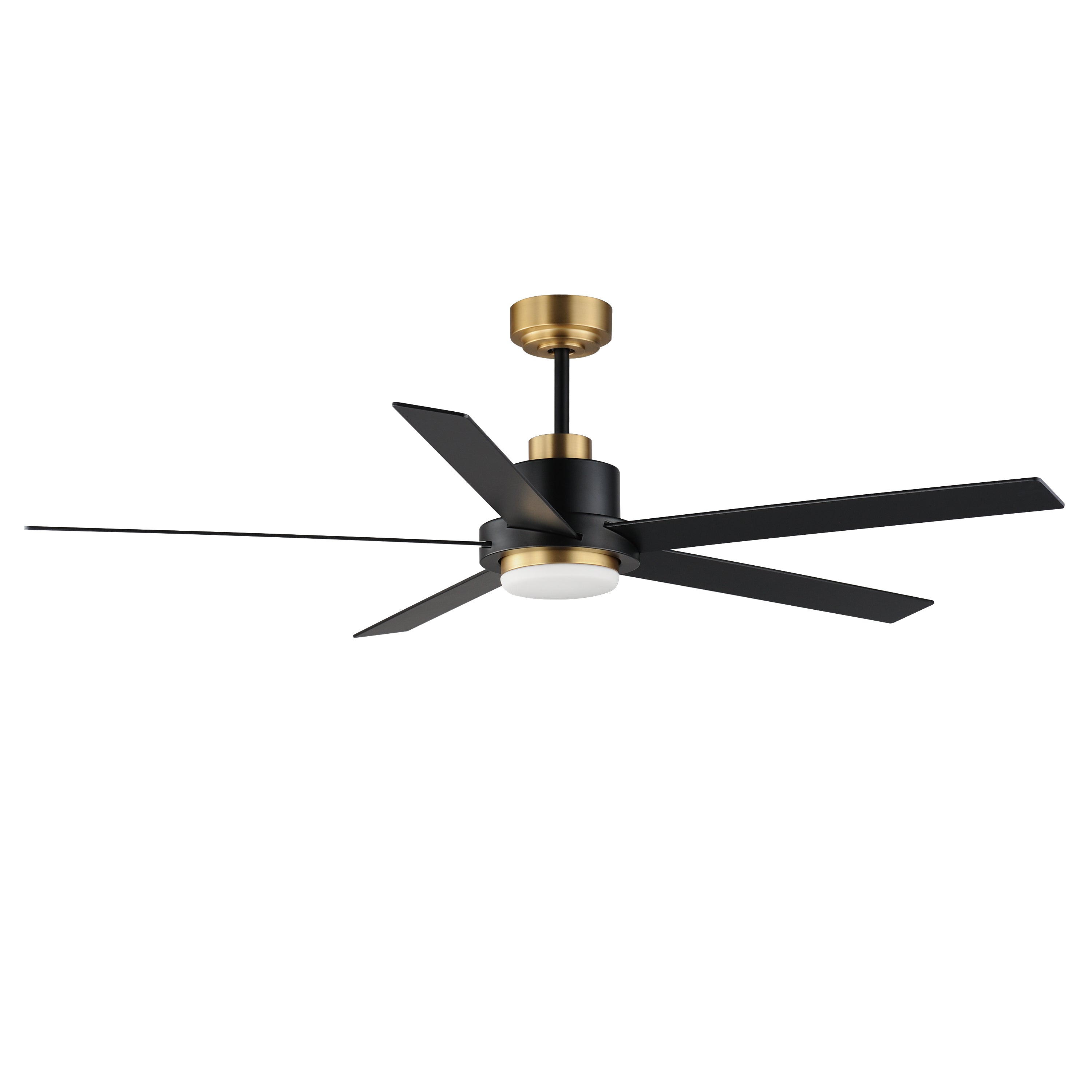 Daisy 60" 5-Blade Fan w LED Light Kit
