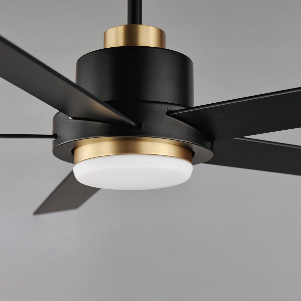 Daisy 60" 5-Blade Fan w LED Light Kit