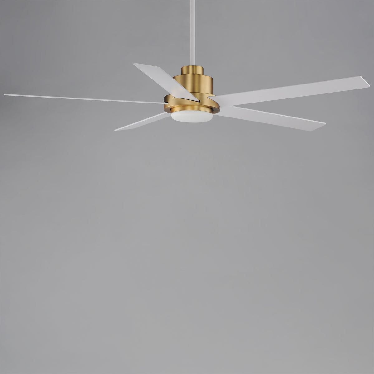 Daisy 60" 5-Blade Fan w LED Light Kit