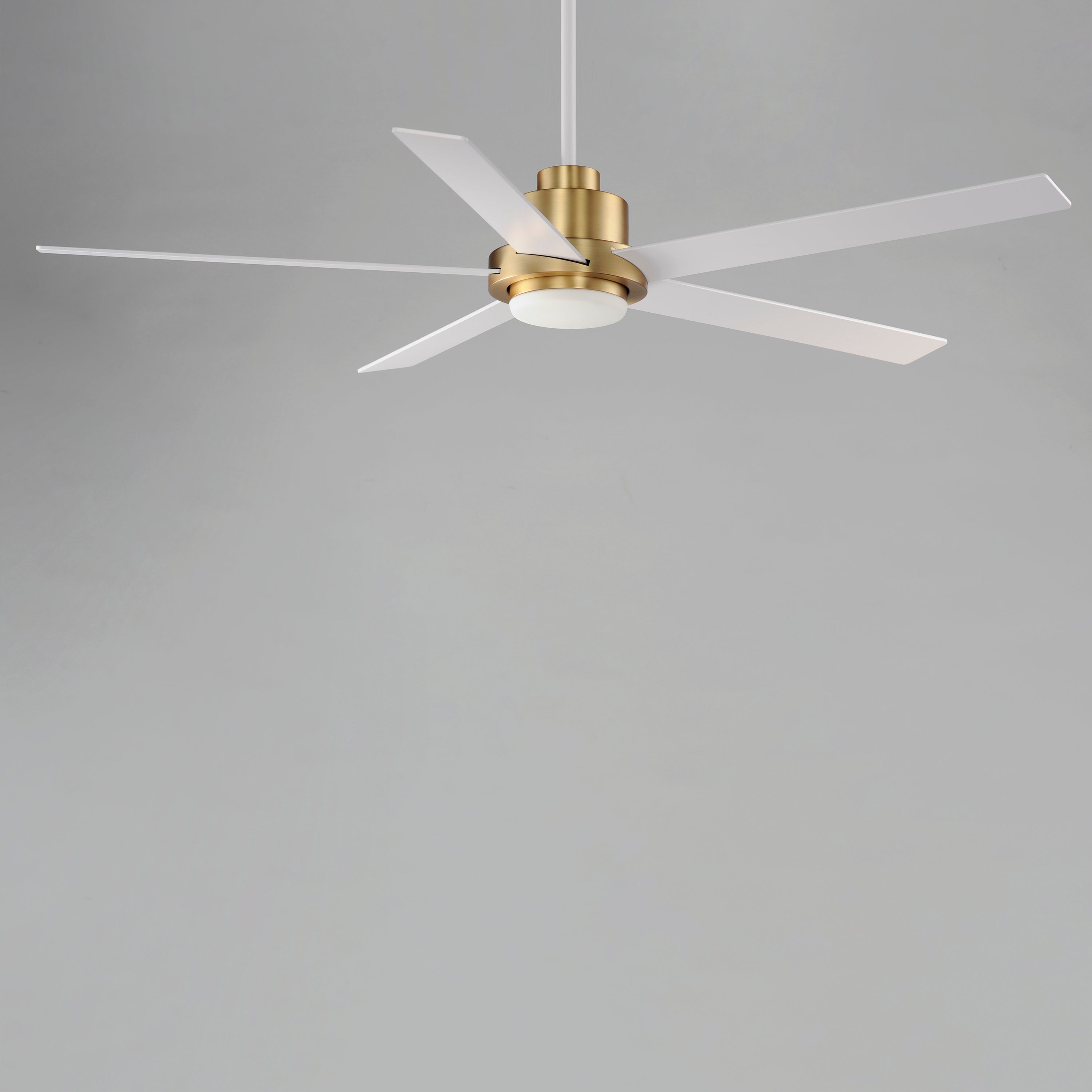 Daisy 60" 5-Blade Fan w LED Light Kit