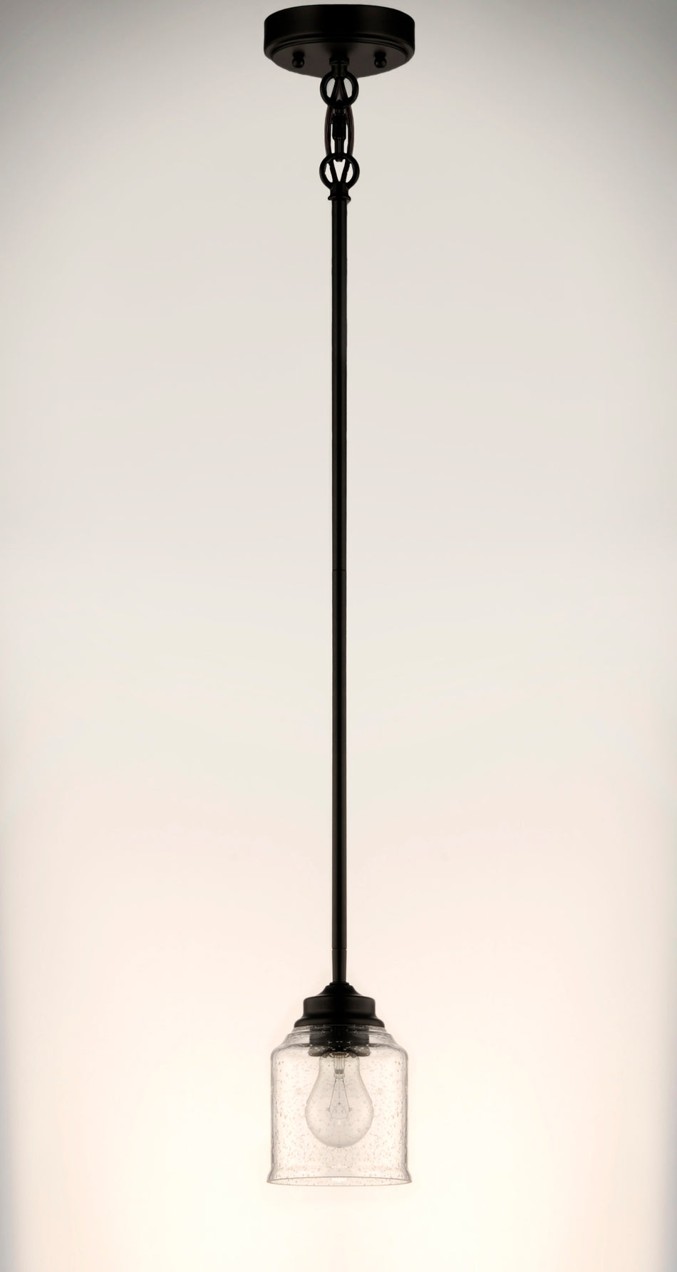 Acadia 1-Light Pendant