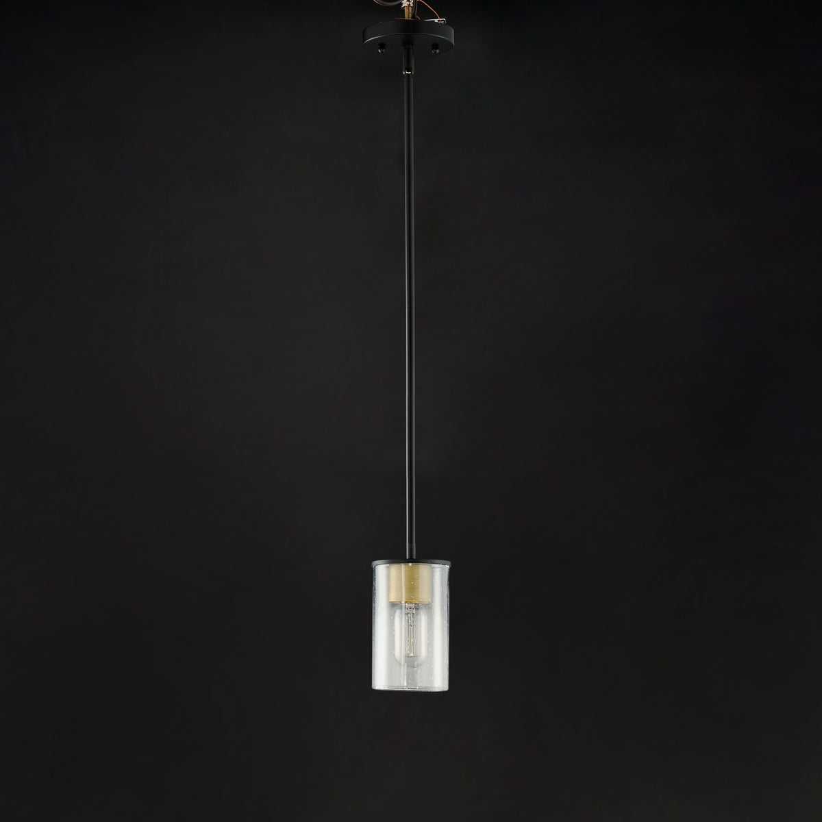 Sleek 1-Light Mini Pendant