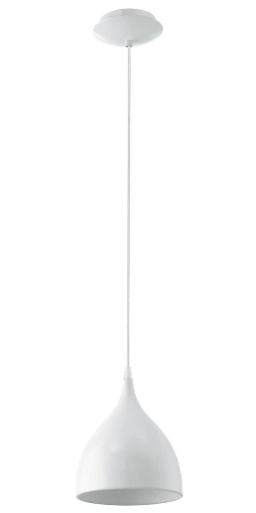 1L Pendant Light / Luminaire suspendu 1L
