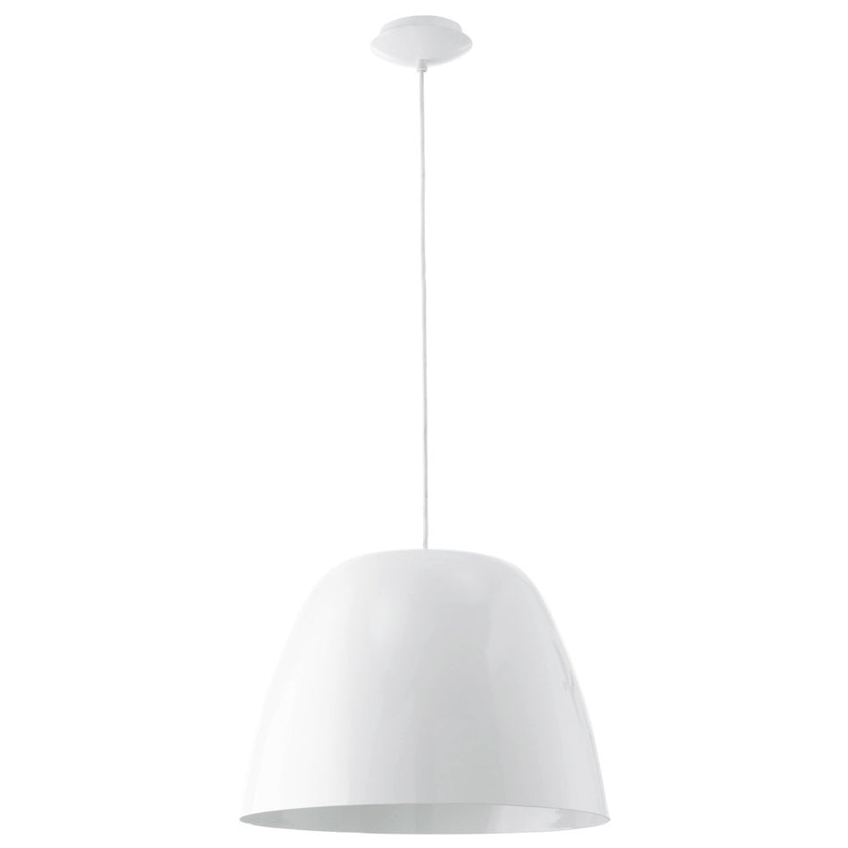 1L Pendant Light / Luminaire suspendu 1L