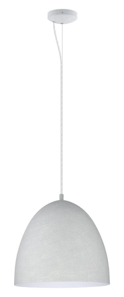 1L Pendant Light / Luminaire suspendu 1L