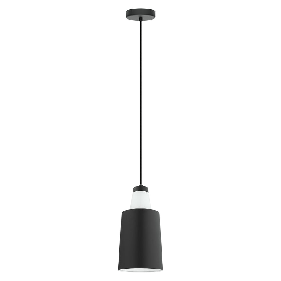 1L Pendant Light / Luminaire suspendu 1L