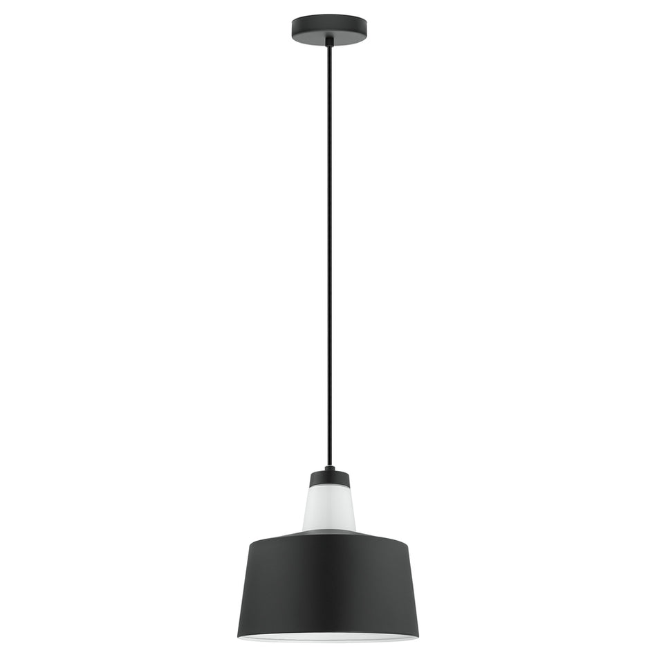 1L Pendant Light / Luminaire suspendu 1L