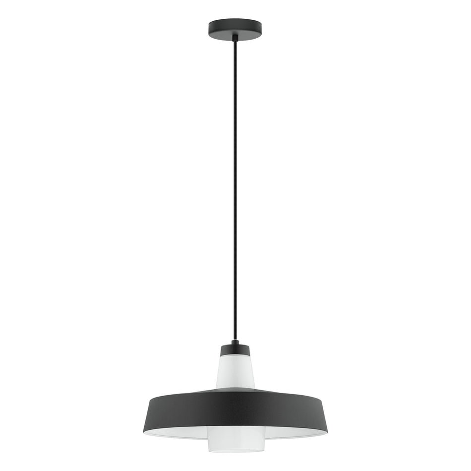 1L Pendant Light / Luminaire suspendu 1L