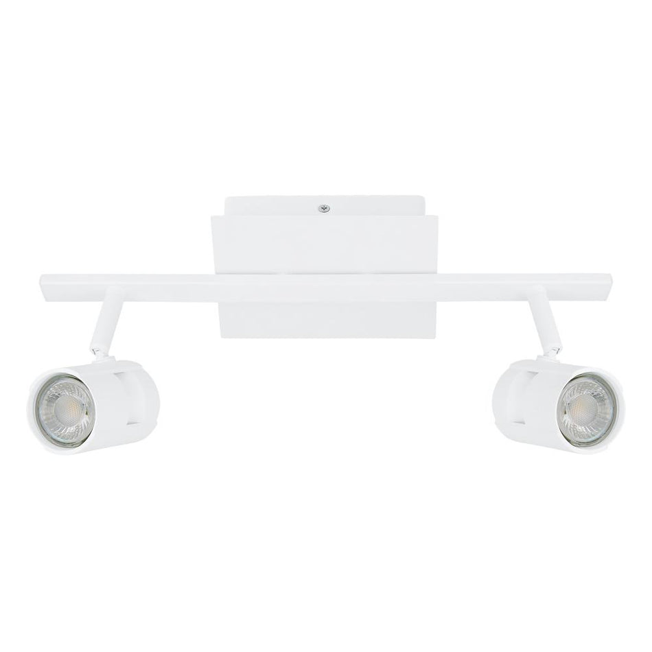 2L Track Light / Luminaire sur rail 2L