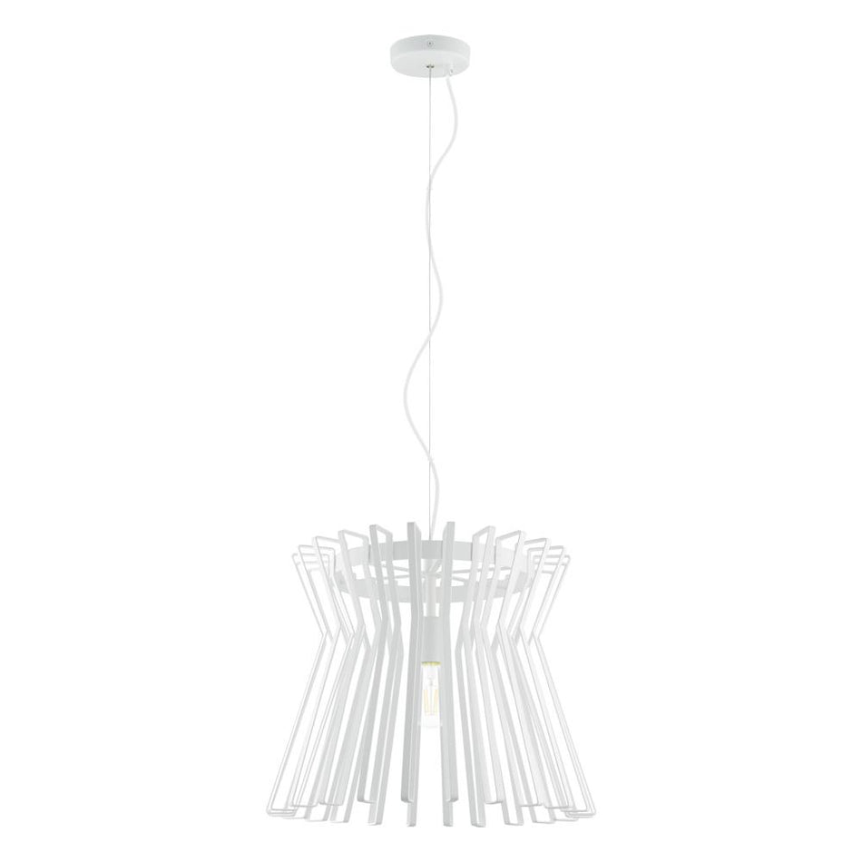 1L Pendant Light / Luminaire suspendu 1L
