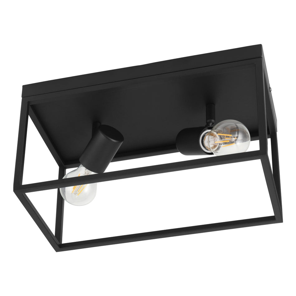 2L Ceiling Light / Plafonnier 2L