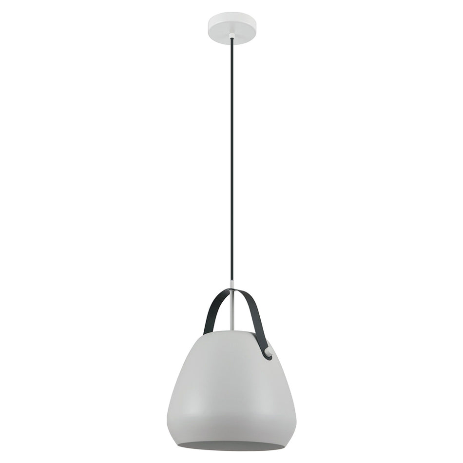 1L Pendant Light / Luminaire suspendu 1L