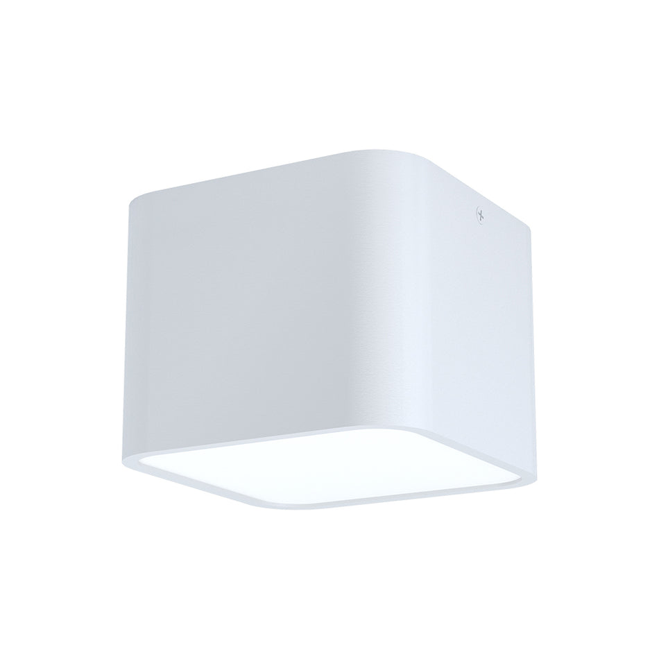 1L Ceiling Light / Plafonnier 1L