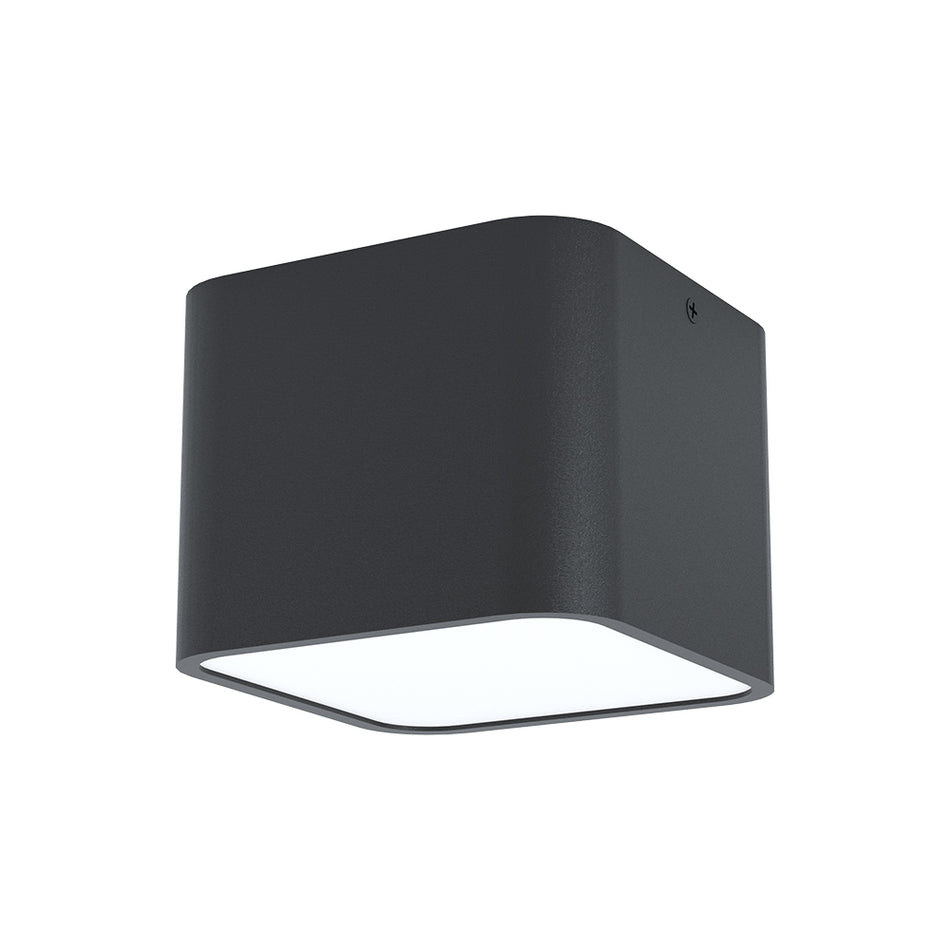 1L Ceiling Light / Plafonnier 1L