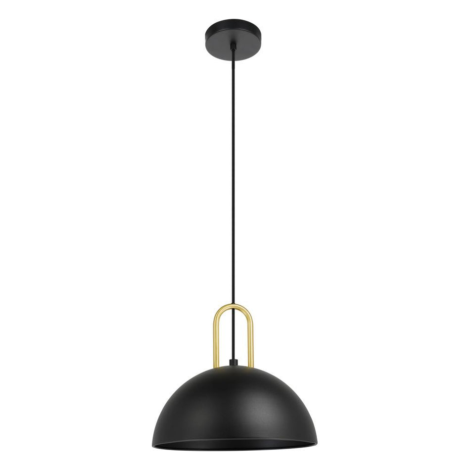1L Pendant Light / Luminaire suspendu 1L